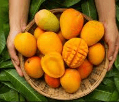 হিমসাগর আম ১ কেজি